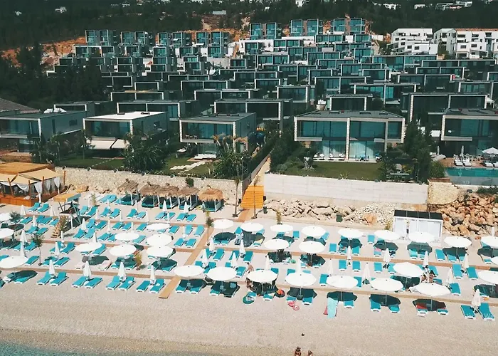 Palm Side Drymades